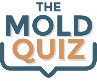 the mold quiz
