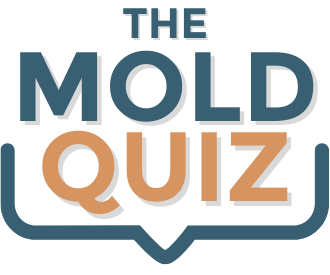mold-quiz the mold quiz