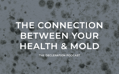 THE CONNECTION BETWEEN YOUR HEALTH & MOLD - Michael Rubino - Author of