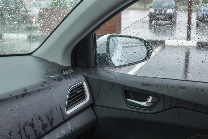 mold in cars mold in cars