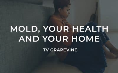 MOLD, YOUR HEALTH AND YOUR HOME - Michael Rubino - Author of The Mold