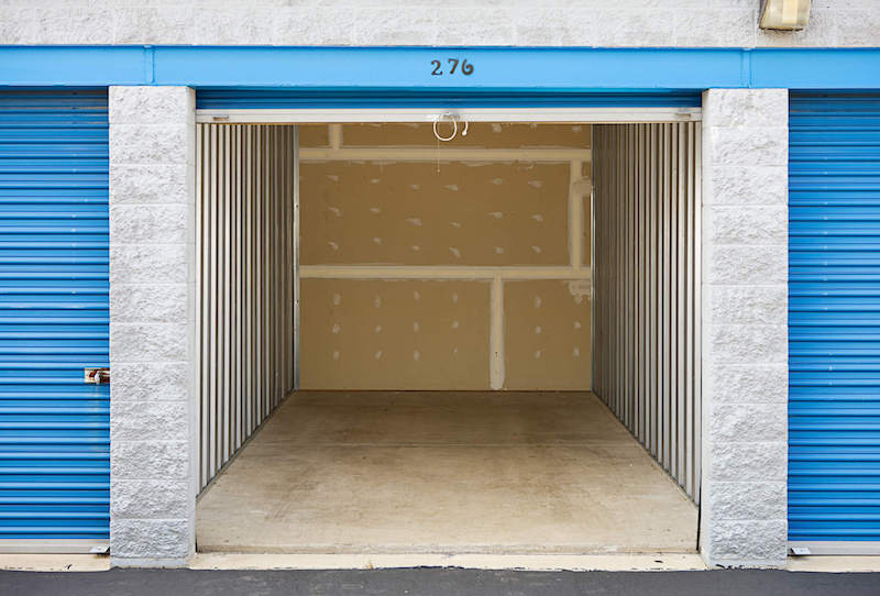 mold in storage units
