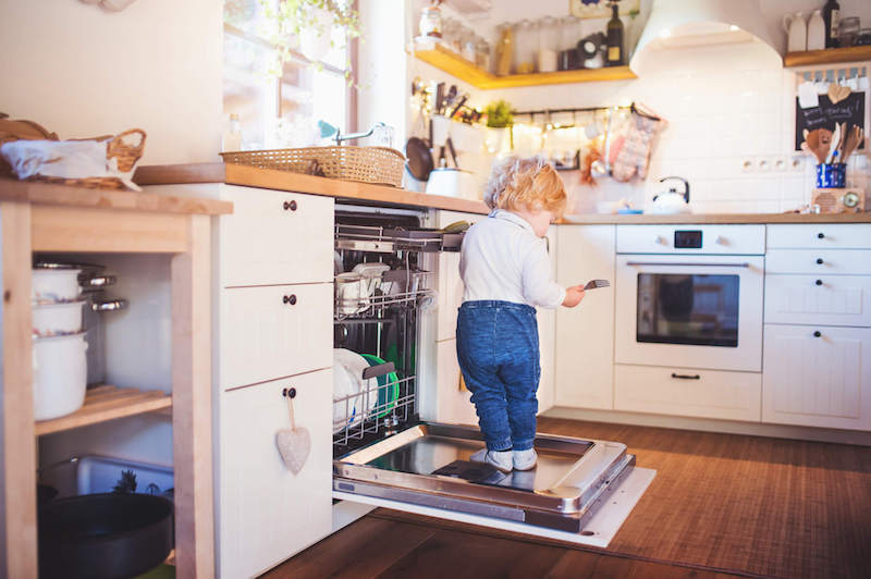 moldy dishwasher