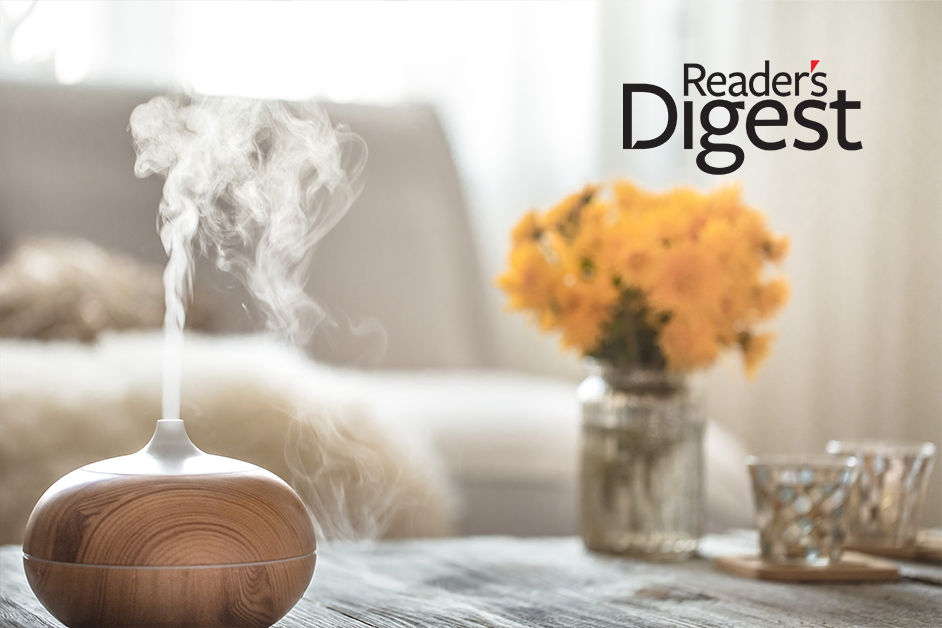 How to Clean a Humidifier, According to Experts Michael Rubino Author of The Mold Medic An