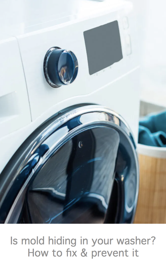 Is mold hiding in your washer? How to fix & prevent it