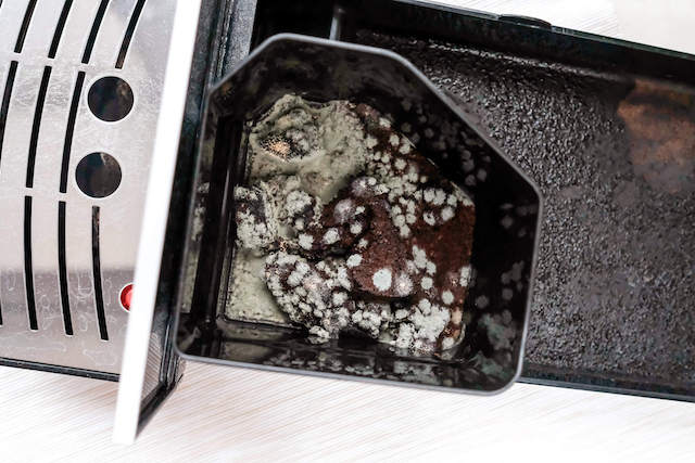 mold in a coffee maker