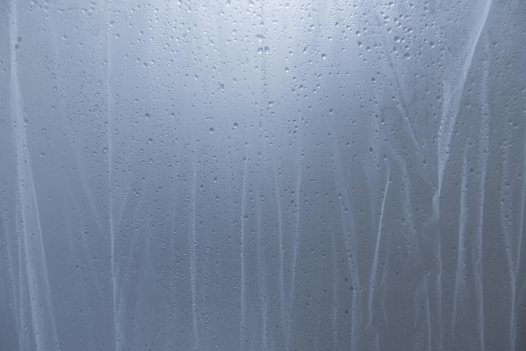 mold on a shower curtain