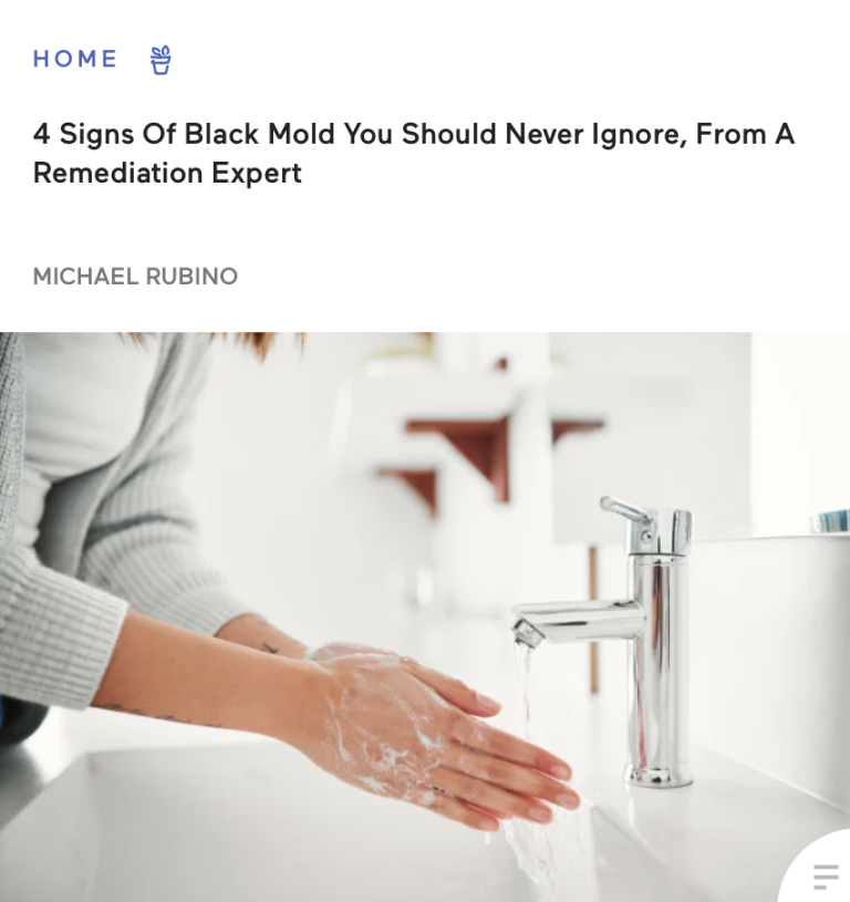 4 Signs Of Black Mold You Should Never Ignore