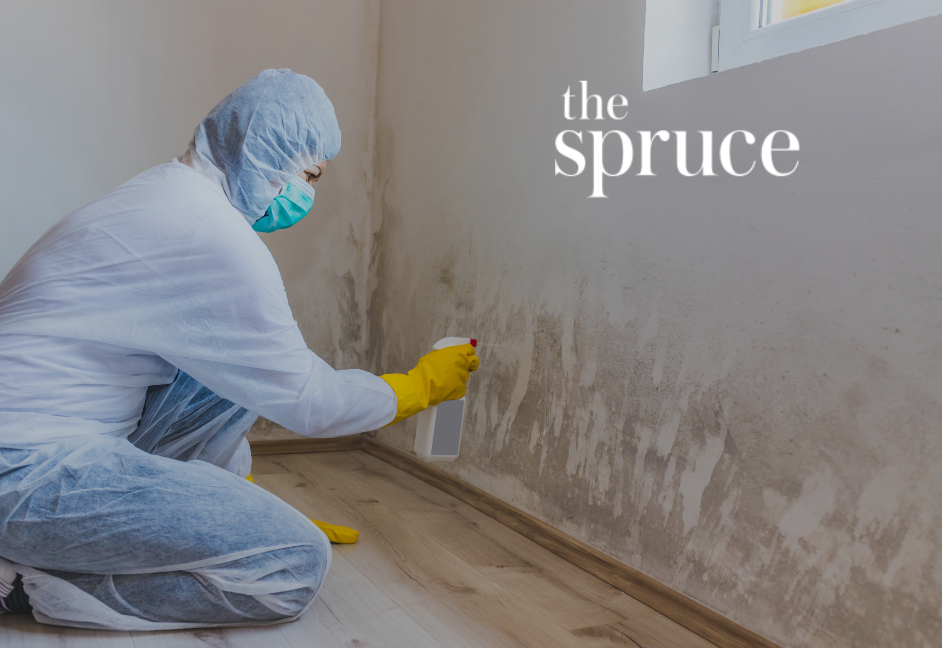 The 5 Best Mold Removers of 2022 TMR