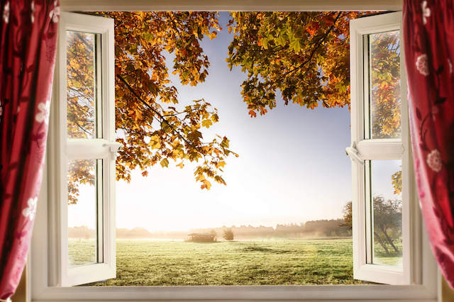 open windows to prevent mold in the fall