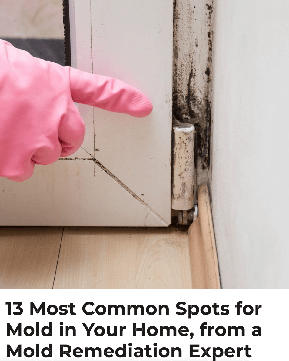 13 Most Common Spots for Mold in Your Home TMR