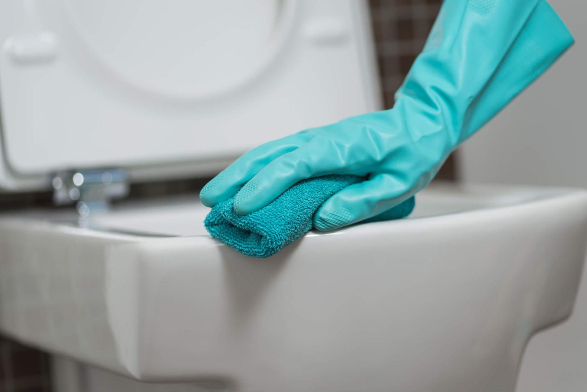 mold growing in the toilet