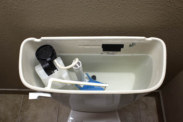 Mold in Toilet: How to Remove Mold in Toilet