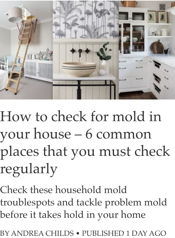 How to check for mold in your house TMR
