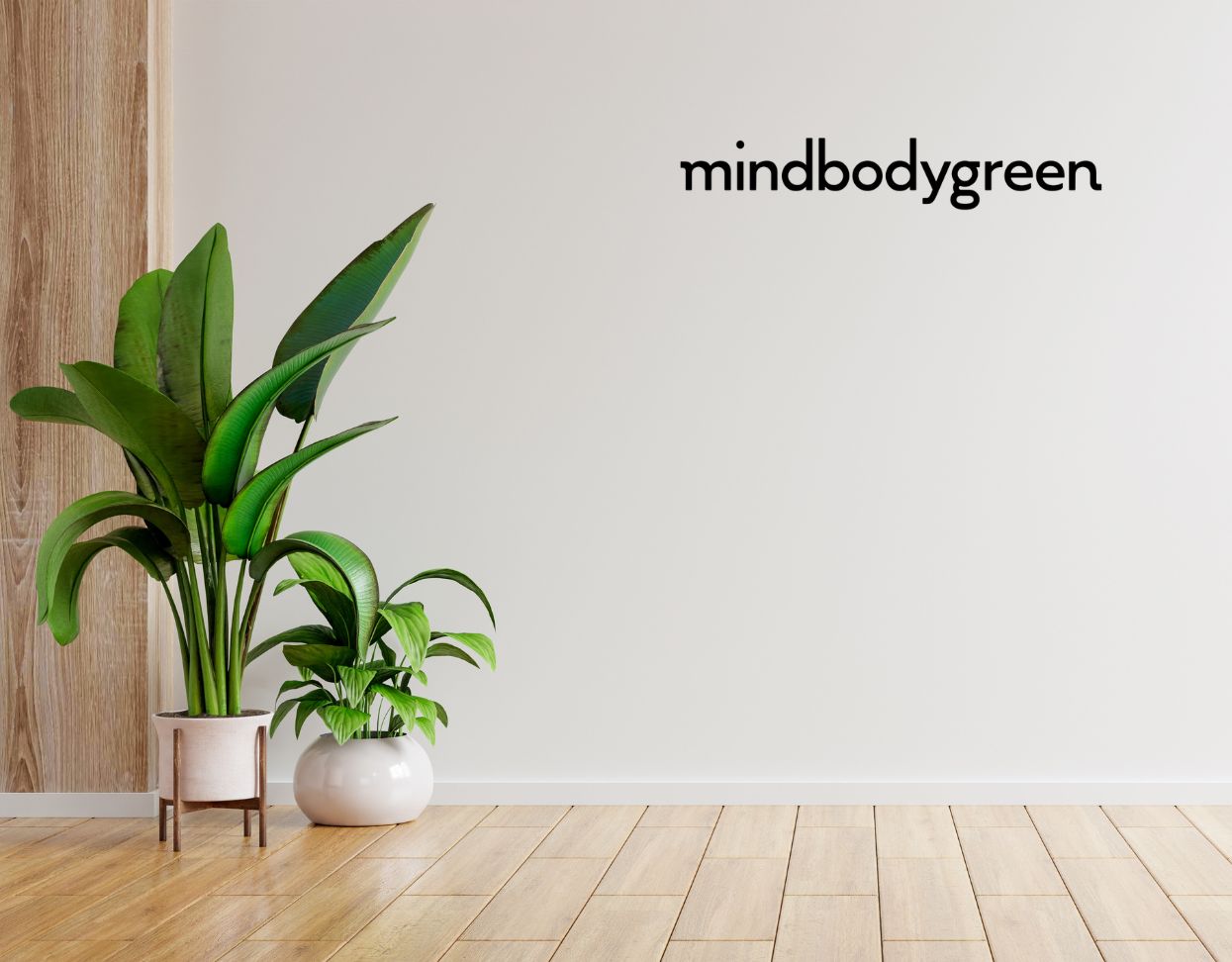 How To Prevent Mold From Growing On Your Beloved Houseplants