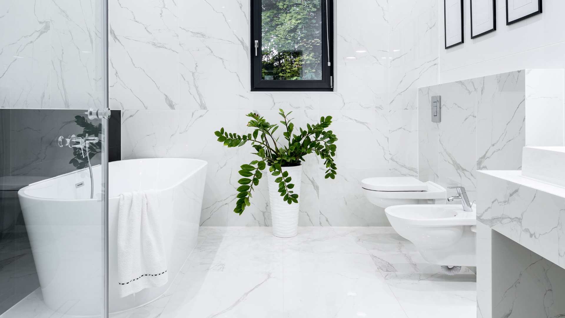 The easiest way to get rid of bathroom ceiling mold TMR