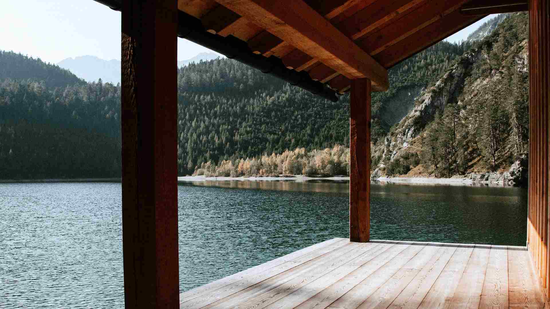 Why Is My Wood Deck Turning Green TMR why-is-my-wood-deck-turning-green-tmr