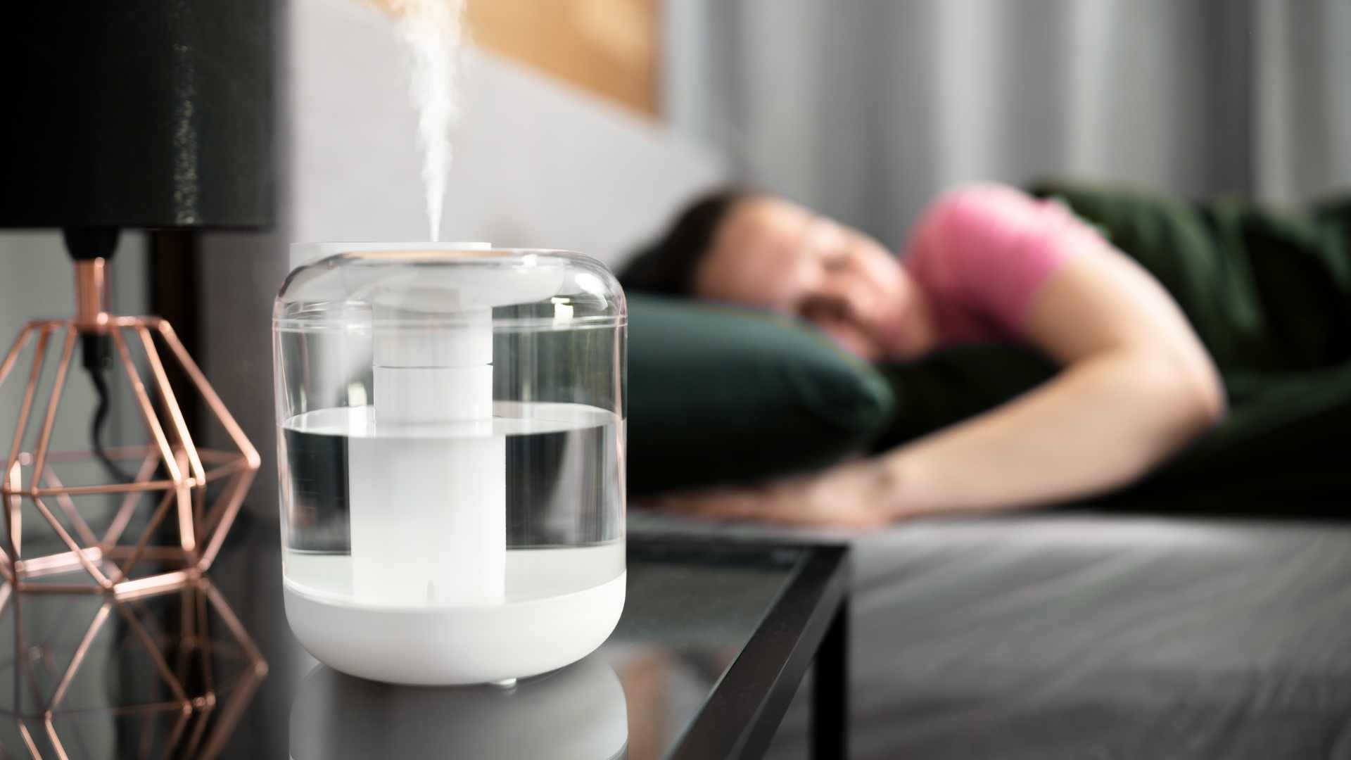 Dehumidifier vs humidifier: what's the difference?